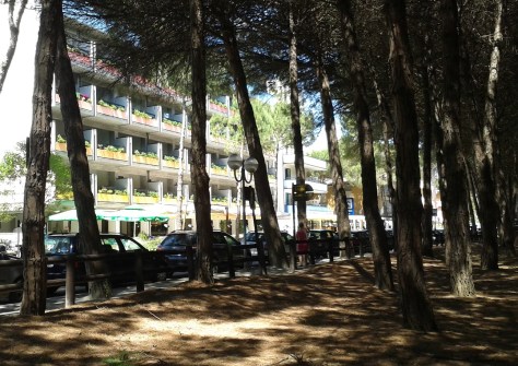 Pineta -Costa dei pini- Pinarella di Cervia