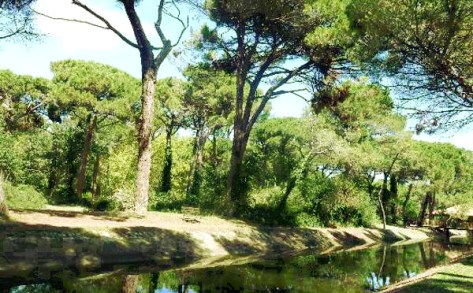 Idee weekend con i bambini in italia emilia romagna parco cervia milano marittima
