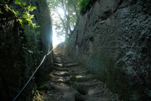 idee weekend per bambini lazio vie-cave-sorano pitigliano vitozza