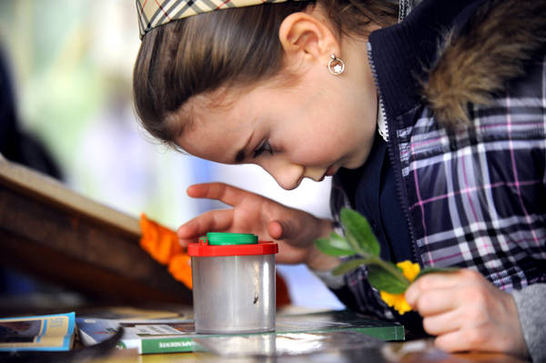 idee weekend per bambini lazio museo del fiore acquapendente viterbo