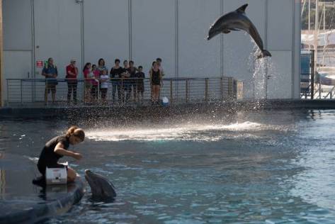 Idee weekend con i bambini in italia liguria acquario di genova