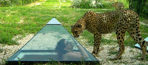 Idee weekend con i bambini in italia marche parco zoo falconara marittima