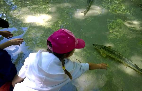 Idee weekend con i bambini in italia lombardia parco_ittico_paradiso lodi