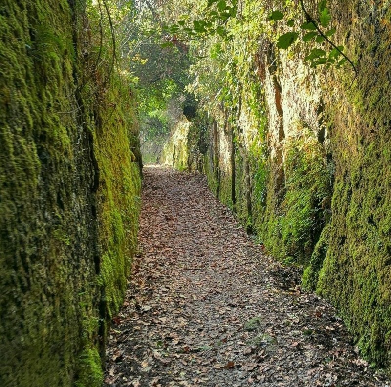 lazio bambini weekend archeologia forre di corchiano